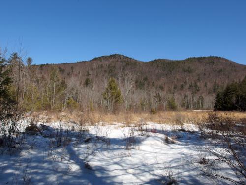 view of the summit from Scot's Trail in Crotched Mountain Town Forest in New Hampshire