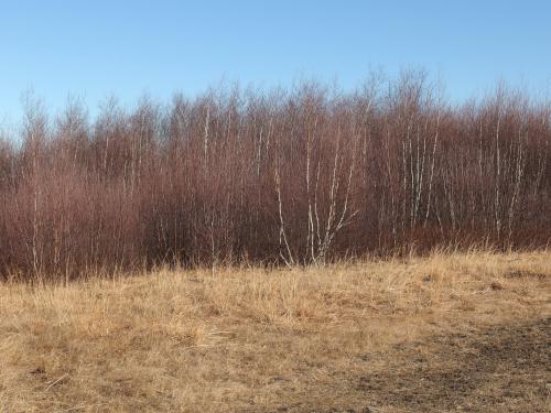 summit of Crow Hill in eastern Massachusetts