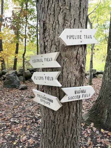 trail junction in October at Mary Cummings Park in eastern Massachusetts