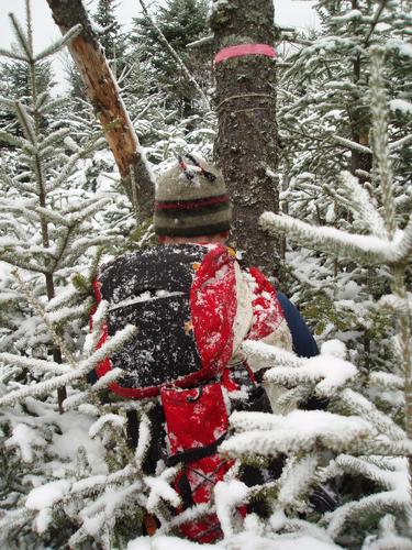 hiker at the canister on the summit of Mount Cushman in New Hampshire