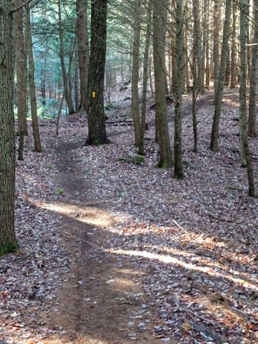 trail at Dagody Hill in southern New Hampshire