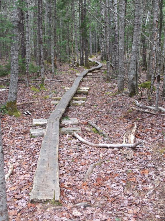 trail boardwalk on Day Mountain at Acadia National Park in Maine
