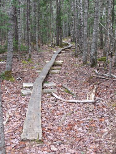 trail boardwalk on Day Mountain at Acadia National Park in Maine