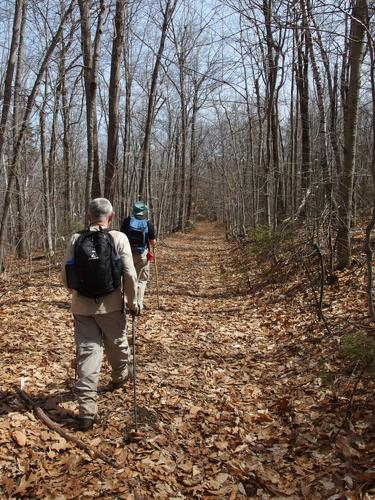 Dick and John hike a woods road at Dickinson Hill in New Hampshire