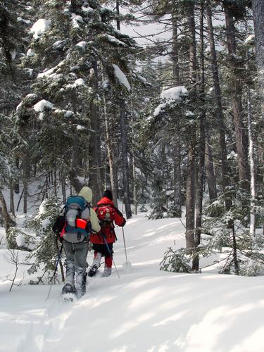 Paul and Julie head up Nancy Pond Trail on a February hike to Duck Pond Peak in New Hampshire