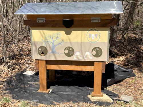 beehive in April at Duston Parcel and Heron Rookery in southeast NH