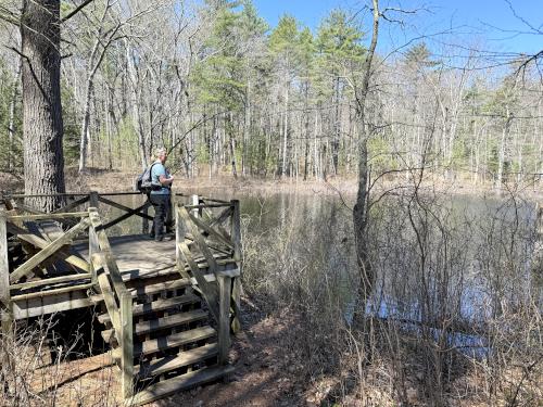 observation deck in April at Duston Parcel and Heron Rookery in southeast NH