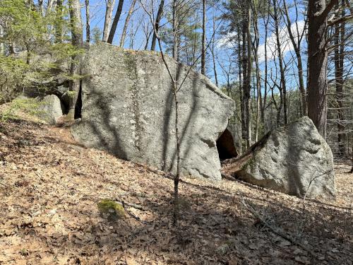 xxx in April at Duston Parcel and Heron Rookery in southeast NH