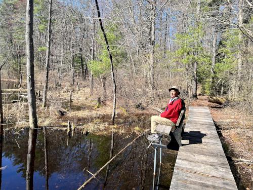footbridge in April at Duston Parcel and Heron Rookery in southeast NH