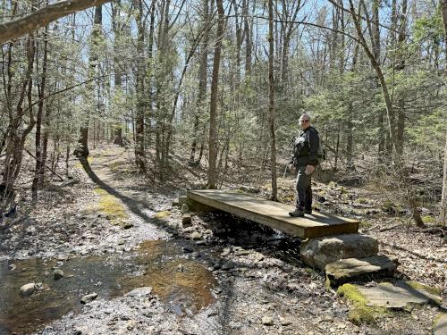footbridge in April at Duston Parcel and Heron Rookery in southeast NH