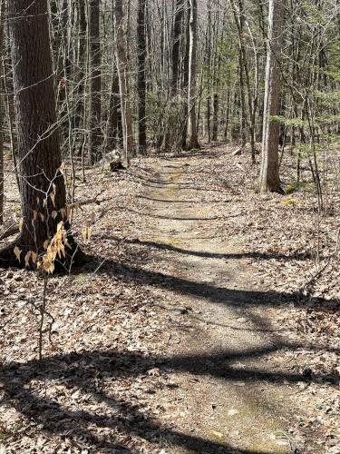 trail in April at Duston Parcel and Heron Rookery in southeast NH