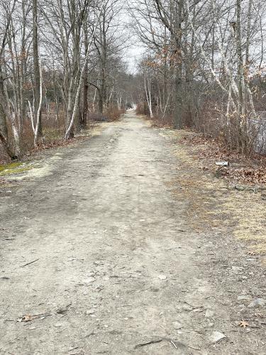 footpath in March at D. W. Field Park in eastern Massachusetts