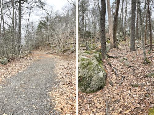 trails in February at Dykes Pond Loop in northeast MA