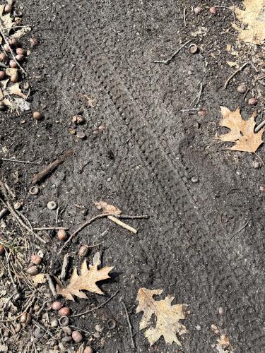 bike treads in April at East Road Trails in southeast NH