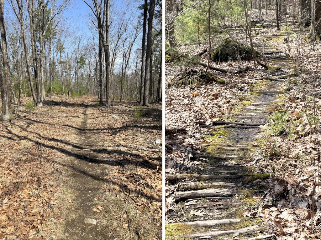 trails in April at East Road Trails in southeast NH