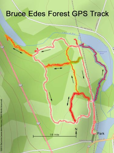 Bruce Edes Forest gps track