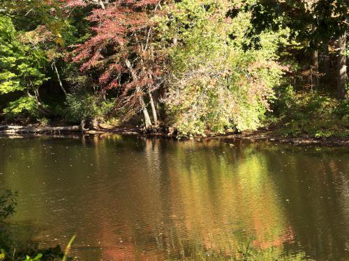 color in September at Elm Bank Reservation in eastern MA