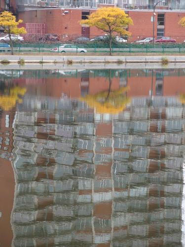 cityscape abstract photo at Charles River Esplanade in Massachusetts