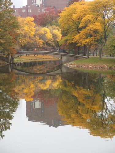 peaceful scene in October at Charles River Esplanade in Massachusetts