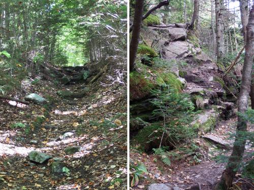 trail to Mount Ethan Allen in northern Vermont