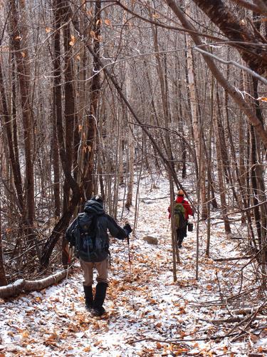 hikers on the trail to Fisher Mountain in New Hampshire