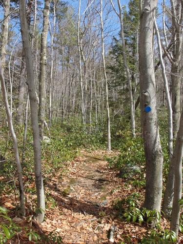 Link Path at Flat Rock Wildlife Sanctuary at Fitchburg in Massachusetts