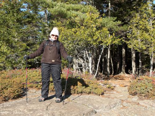 Andee in November on top of Flying Mountain in Acadia Park, Maine