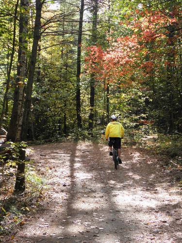 biker on the FOMBA Trails in New Hampshire