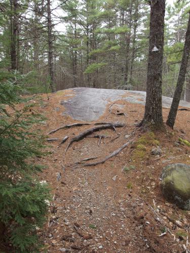 whaleback trail at Franklin Falls Trails in New Hampshire