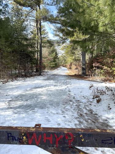 trail in February at Freetown State Forest in southeast MA
