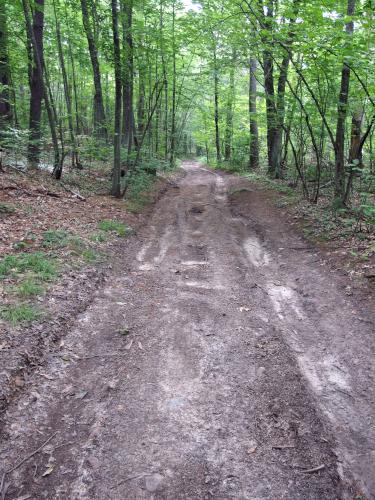 road walk to Frye Town Forest in Kingston, New Hampshire