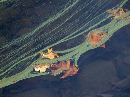 artistic water pattern