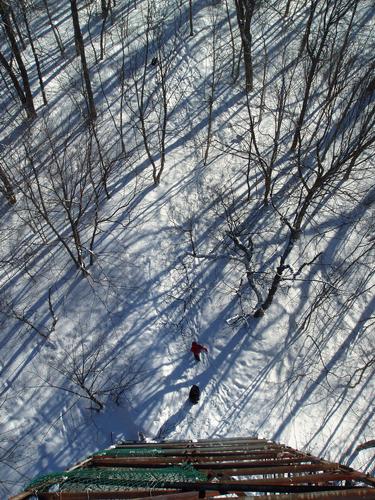 view looking down from the very-high observation tower on Gile Mountain in Vermont