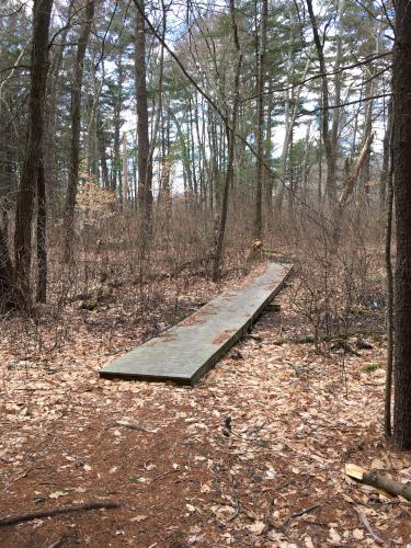 trail boardwalk at Great Meadows NWR north in northeastern Massachusetts