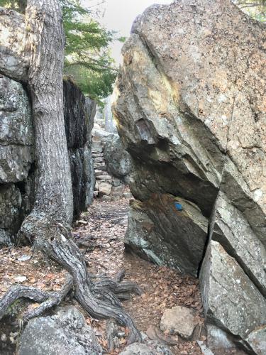 cleft in the Cadillac Cliffs Trail on Gorham Mountain at Acadia National Park in Maine