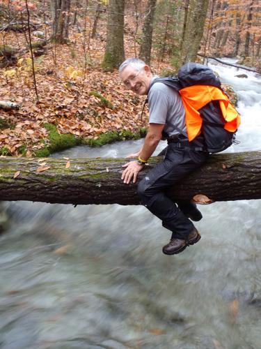 bushwhacker on the way to Grass Mountain in Vermont