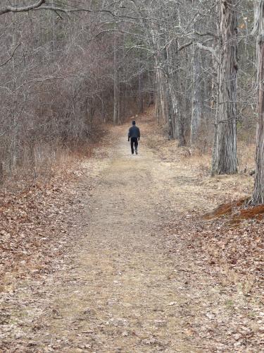 Ferry Way Trail in January at Great Bay NWR in southeast New Hampshire