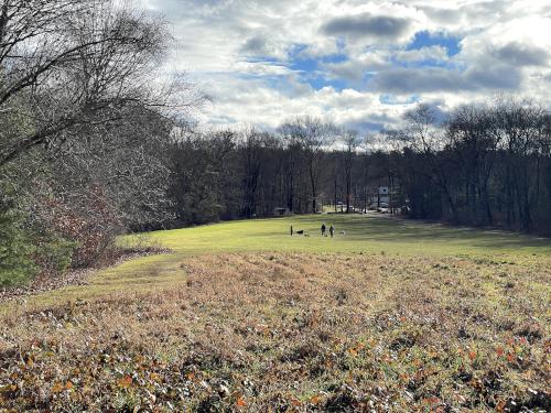 lawn in December at Great Hill in eastern MA