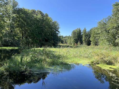 brook in September at Hartwell Preserve in northeast MA