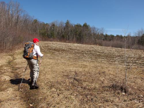 trail at High Blue Forest in southwestern New Hampshire