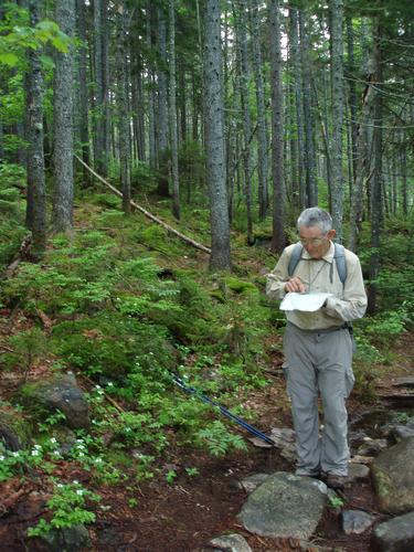 hiker checking map-and-compass on the way to Mount Hitchcock East in New Hampshire