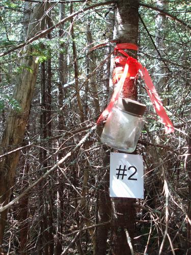 2nd canister on Hitchcock South Mountain in New Hampshire