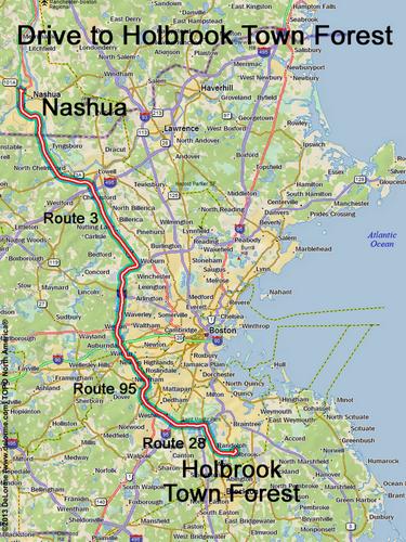 Holbrook Town Forest drive route