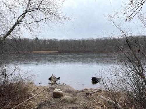 xxx in December at Holbrook Town Forest near Holbrook in eastern Massachusetts