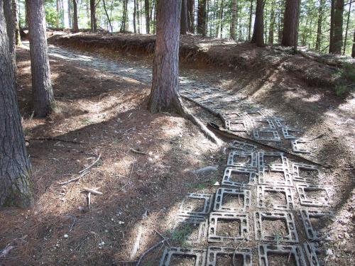 trail at Hopkinton-Everett Trails in New Hampshire