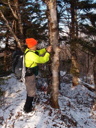 hiker at the register atop Mount Hor in Vermont