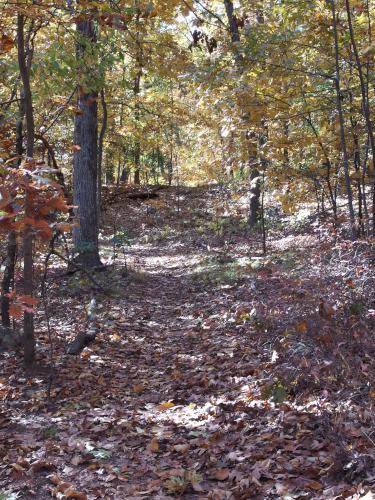 trail at Horn Pond Mountain in eastern Massachusetts