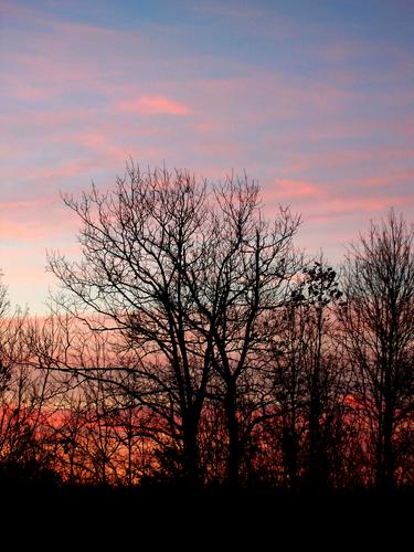 sunrise in Horse Hill Nature Preserve in New Hampshire