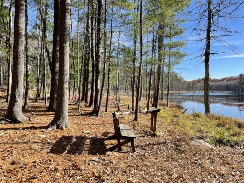 Lastowka Pond in November at Horse Hill Nature Preserve in southern New Hampshire