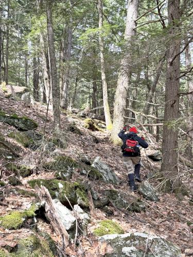 Dick in April at Hubbard Hill in southwest NH
